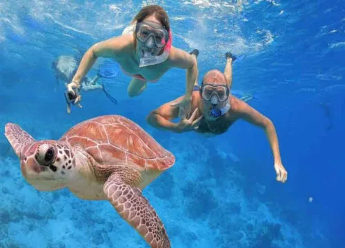 Egypt Abu Dabbab Schnorchel-Ausflug| Schwimmen mit Schildkröten