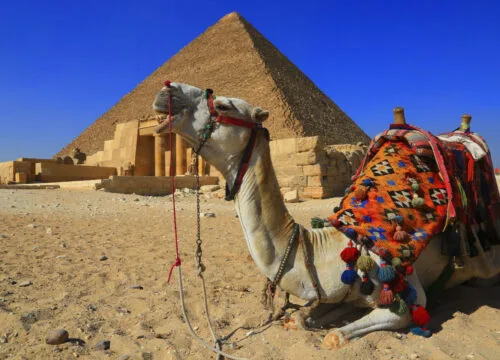 kultur-ausfluge hurghada Ausflug Pyramiden hurghada:Privater Ausflug nach Kairo von hurghada mini bus-So planen Sie die perfekte Reiseroute für Ägypten: Ein Reiseführer