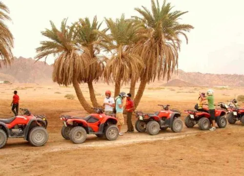 Safari Hurghada