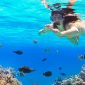 Hurghada Schnorcheln