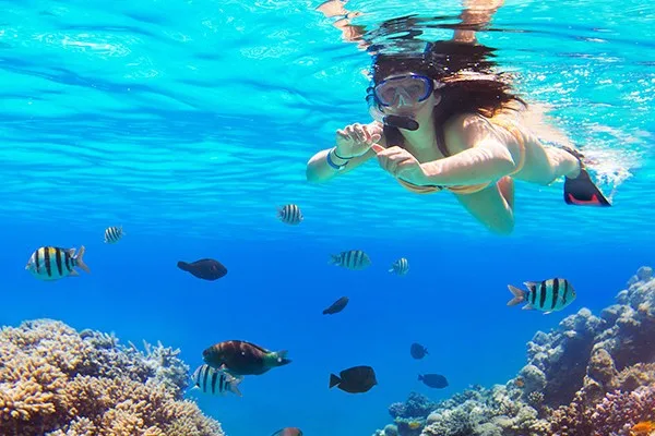 Hurghada Schnorcheln