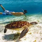 Schnorcheln El Gouna: Die 20 besten Schnorchelausflüge, die du nicht verpassen darfst