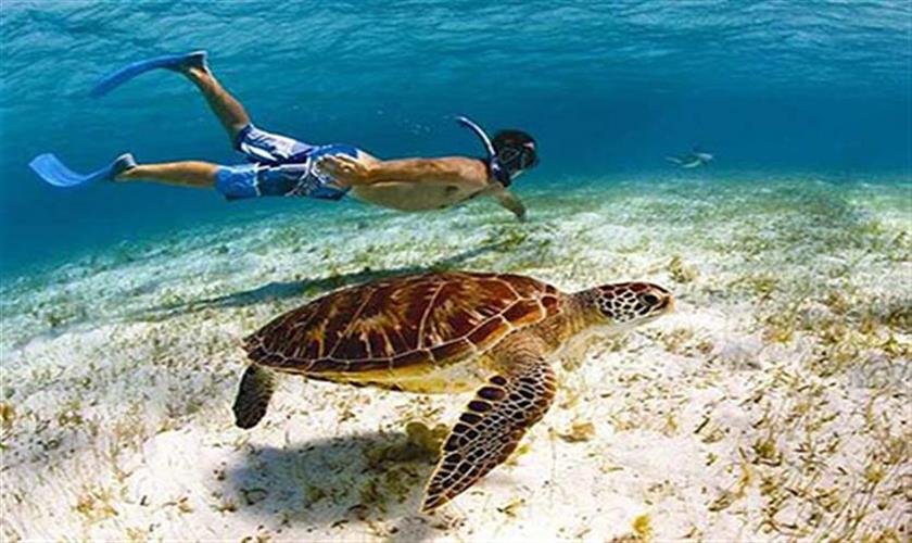 Schnorcheln El Gouna: Die 20 besten Schnorchelausflüge, die du nicht verpassen darfst