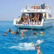 Mit Delfinen schwimmen in Hurghada