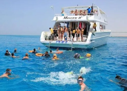 Mit Delfinen schwimmen in Hurghada: Dein Traum wird wahr