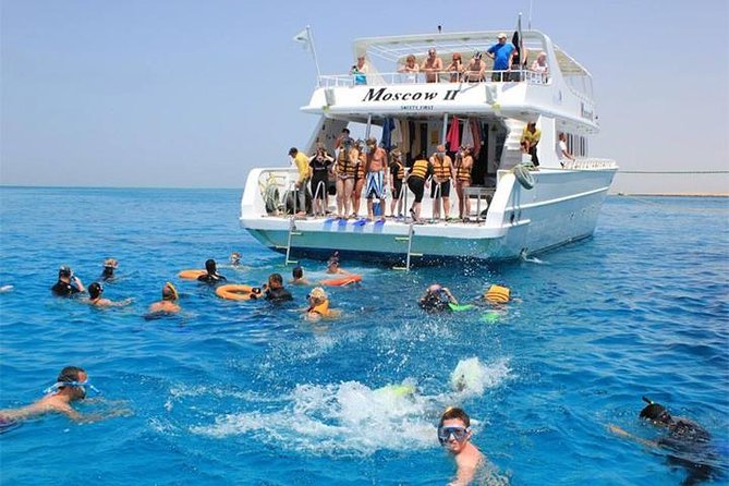 Mit Delfinen schwimmen in Hurghada