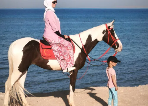 Ausflug Pferde Reiten in Hurghada