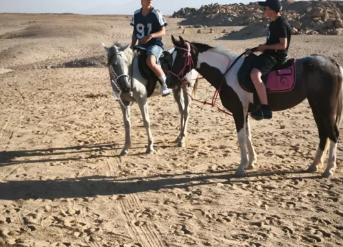 Pferde Reiten in Hurghada