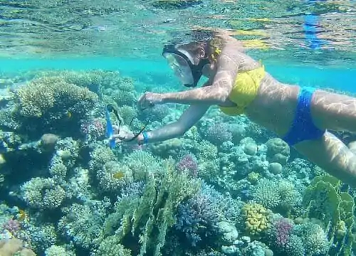 Hula hula insel tour