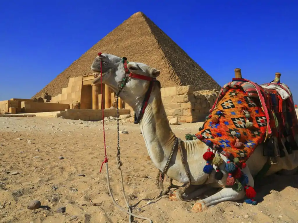 kultur-ausfluge hurghada Ausflug Pyramiden hurghada:Privater Ausflug nach Kairo von hurghada bus-ausflug hurghada nach kairo