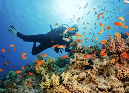 Wie man eine erschwingliche Reise nach Hurghada plant