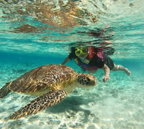 Egypt Abu Dabbab Schnorchel-Ausflug