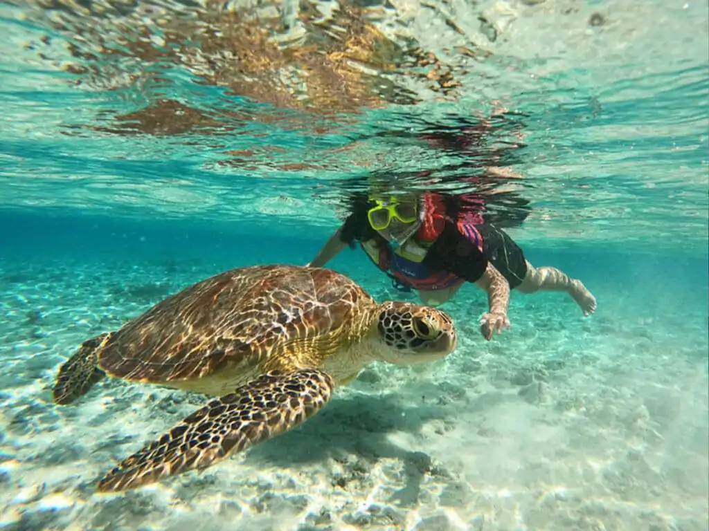 Egypt Abu Dabbab Schnorchel-Ausflug- Schnorcheln Marsa Alam