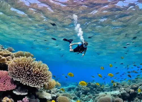 Tauchen Marsa Alam nach Marsa Mubarak(Schnorchelgebieten vor Marsa Alam)