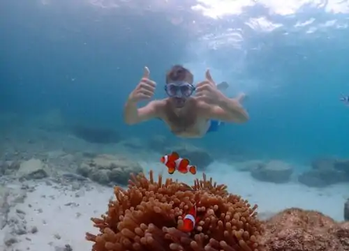 Hula Hula Insel & Schnorcheln und Tauchen