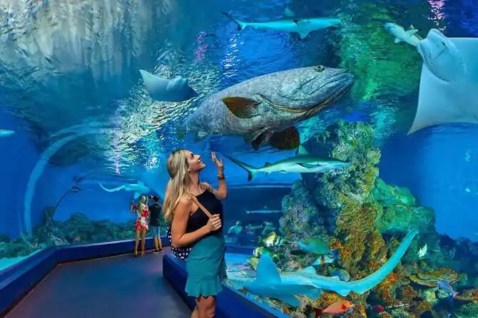 Ausflug Hurghada Grand Aquarium - Tickets für Hurghada Aquarium egypt