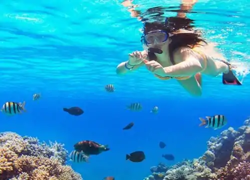 Schnorcheln in Hurghada: Die besten Spots, Preise & Tipps für das Rote Meer