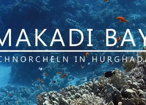 Makadi Bay Schnorcheln | Hurghada Rotes Meer erleben