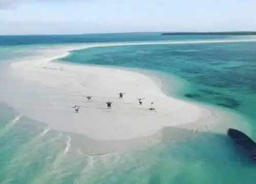 privater delfin ausflug hurghada – delfine im roten meer beobachten