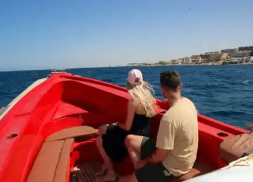 delfinschwimmen hurghada – speedboot delfin tour hurghada