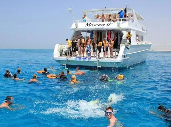 Mit Delfinen schwimmen in Hurghada